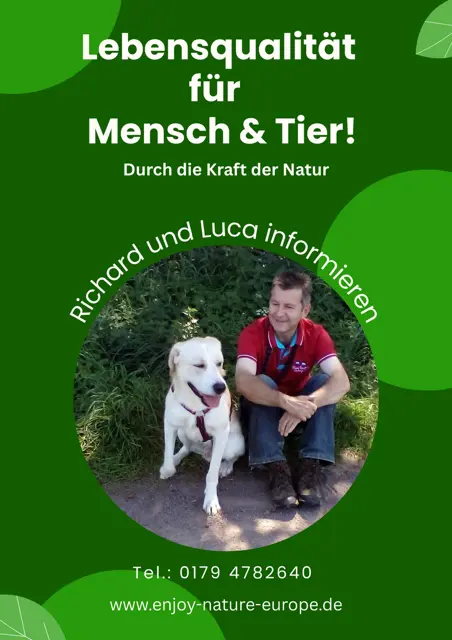 Messeflyer